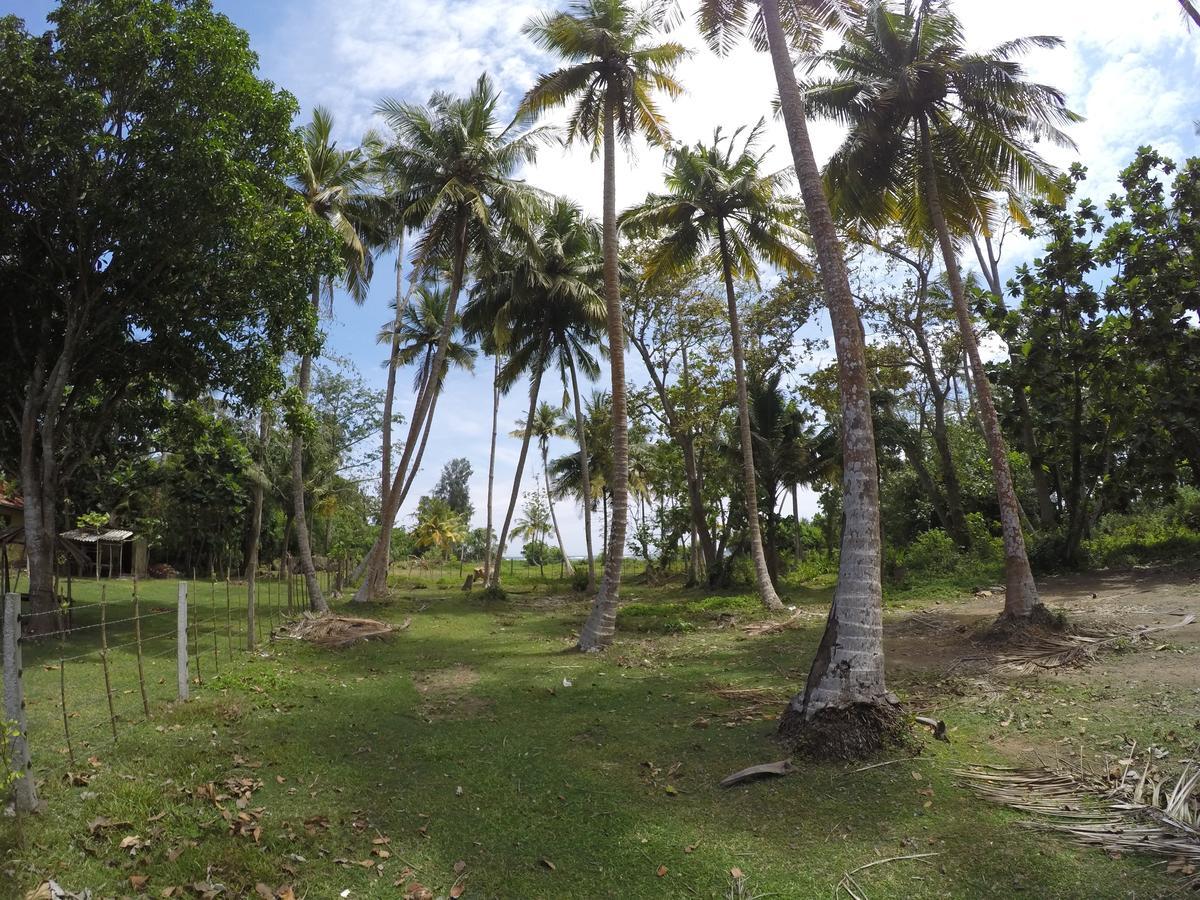 Bimanjee Mango Resort Matara Exterior photo